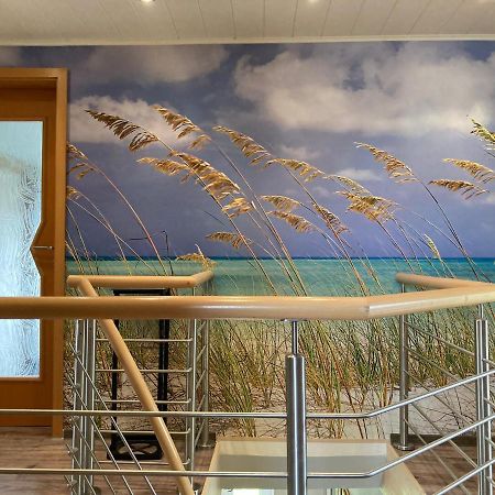 Ferienwohnung Ostseestrandlaeufer 2 ツィングシュト エクステリア 写真
