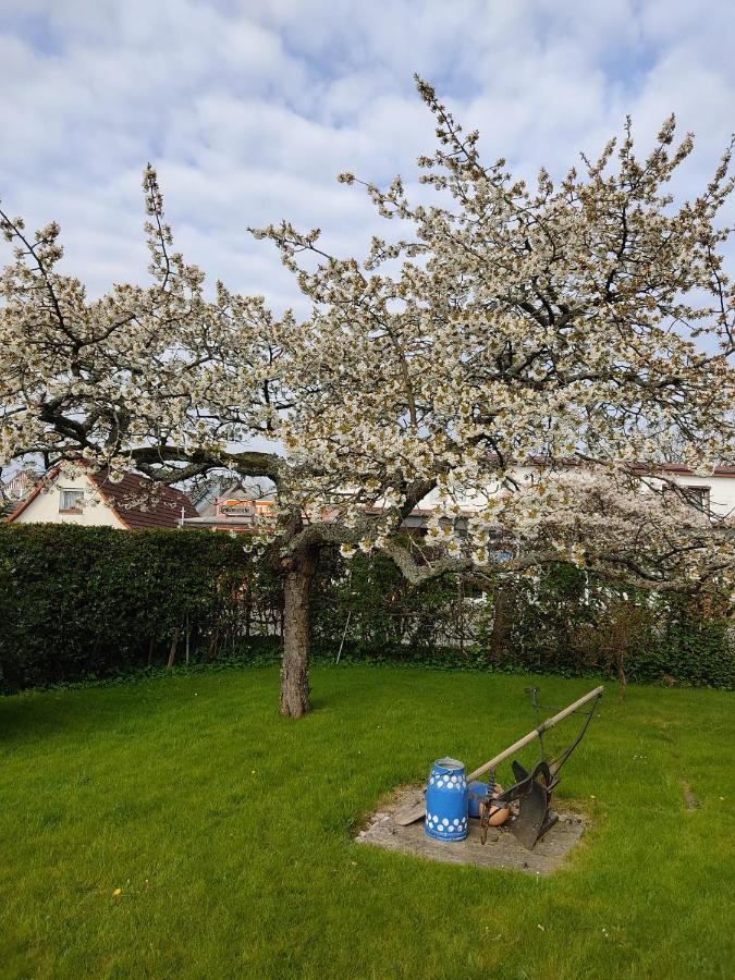 Ferienwohnung Ostseestrandlaeufer 2 ツィングシュト エクステリア 写真
